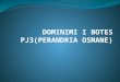 Dominimi i botes pj3(perandria osmane)