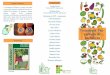 Folder com informações sobre Pós-colheita de Hortaliças