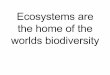Ecosystems 5 Biodiversity And Humans