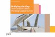 PwC - Bridging the Gap - 2015 Annual Global Working Capital Survey
