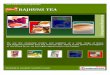 Rajhuns Tea Private Limited, Ahmedabad,  Green Tea