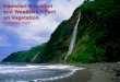 Hawaiian Elevation and Weathers Affect on Vegetation