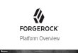 NYC Identity Summit Tech Day: ForgeRock Identity Platform Overview