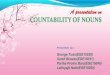 Countability of nouns