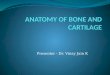 Anatomy of bone and cartilage 1