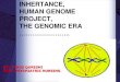Review of cellular division , mutation and law of inheritance, human genome project, the genomic era …………………