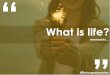 What is life? Life explained in quotes
