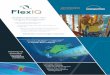 FlexIQ Flyer - INTECSEA and Innospection