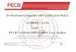 PECB Certified ISO 18001 Lead Auditor - Aldin Layaguin