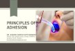 Principles of Adhesion (Operative Dentistry)
