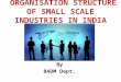 Organisation structure of small scale industries in india