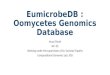Eumicrobedb - Oomycetes Genomics Database