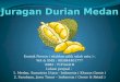 Durian medan sidikalang | 0838 444 01 777 | Juragan Durian