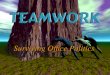 Team work - Surviving office politics
