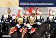 Household Cavalry Mounted Regiment Overview