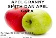 Apel granny smith dan apel gala