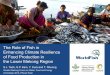 Role of Fish in Climate Resilience of Food Mekong