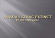 Animals Going Extinct