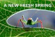 A New Fresh Spring (Pp Tminimizer) (Pp Tminimizer) (1)