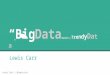 Big Data, Small Data, Trendy Data (Moodle)