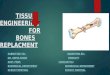 bone tissue engineering