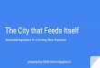 The City that Feeds Itself