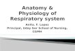 Respiratory system anatomy & physiology