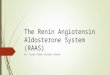 The Renin Angiotensin Andosterone System