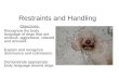 Restraints and Handling Objectives: Recognize the body language of dogs that are anxious, aggressive, relaxed and aroused. Explain and recognize dominance