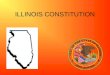 ILLINOIS CONSTITUTION. Governor Pat Quinn (Democrat) Chief Executive Appoints key administrators Proposes budget yearly Grants reprieves and pardons