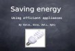 Saving energy Using efficient appliances By Katie, Nina, Deli, Aphi