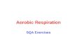 Aerobic Respiration SQA Exercises. Aerobic Respiration – what you should know Respiration is the breakdown of f______ to release its e_______ Living cells