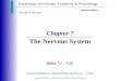 Essentials of Human Anatomy & Physiology Copyright © 2003 Pearson Education, Inc. publishing as Benjamin Cummings Slides 7.1 – 7.22 Seventh Edition Elaine