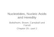 Nucleotides, Nucleic Acids and Heredity
