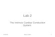 Lab 2 The Intrinsic Cardiac Conduction System 1/24/20101Mickey Dufilho