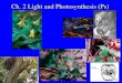Ch. 2 Light and Photosynthesis (Ps). Light Radiant energy (electromagnetic radiation) –Particle + wave Particle: torp