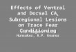 Effects of Ventral and Dorsal CA 1 Subregional Lesions on Trace Fear Conditioning J.L. Rogers, M.R. Hunsaker, R.P. Kesner