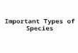 Important Types of Species