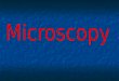 Types of microscope Electron Microscope An electron microscope