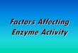 Factors Affecting Enzyme Activity. Enzymes are large globular proteins… They have a precise 3-D shape Some have quaternary structure The ‘active site’