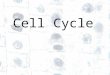 1 1 Cell Cycle. Skin cancer - the abnormal growth of skin cells - most often develops on skin exposed to the sun. Cell that reproduce by asexual reproduction