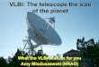 VLBI: The telescope the size of the planet
