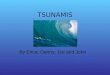 TSUNAMIS By Erica, Danny, Jye and John. Causes Sudden movement Earthquakes Landslides Volcanic eruptions Underwater explosions