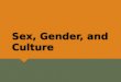 Sex, Gender, and Culture. Learning Objectives  Distinguish between developed and developing nations.  Describe the different developmental approaches