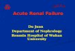 Du Juan Department of Nephrology Renmin Hospital of Wuhan University