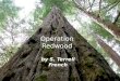 Operation Redwood by S. Terrell French. Where does this story take place? California San Francisco Mendocino County