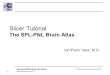 Surgical Planning Laboratory  -1- Brigham and Women’s Hospital Slicer Tutorial The SPL-PNL Brain Atlas Ion-Florin Talos, M.D