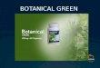 BOTANICAL GREEN. INGREDIENTS Lemon Juice Powder Isolated Soy Protein Digazyme Spirulina Green Tea Extract Alfalfa Cordyceps sinensis
