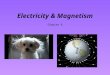 Electricity & Magnetism Chapter 8. Student Learning Objectives Recall properties of charge Characterize static electricity Differentiate between series