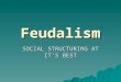 Feudalism SOCIAL STRUCTURING AT IT’S BEST. Remember  Do not copy anything in Italics  Do not copy anything in (…..)  Do not copy any page with Review